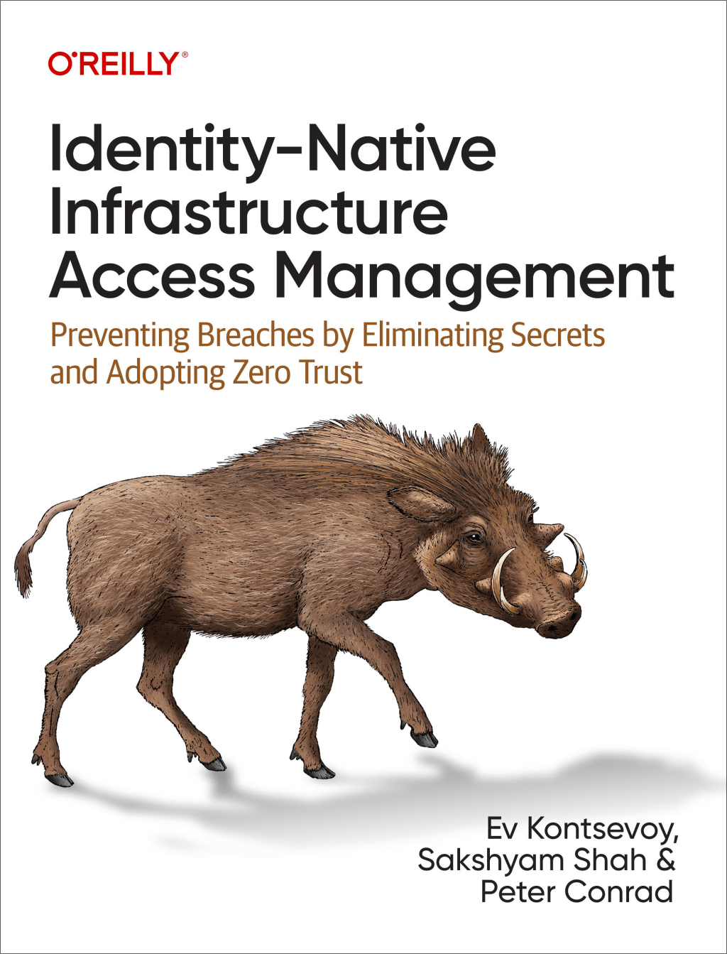 Book review: Identity-Native Infrastructure Access&nbsp;Management